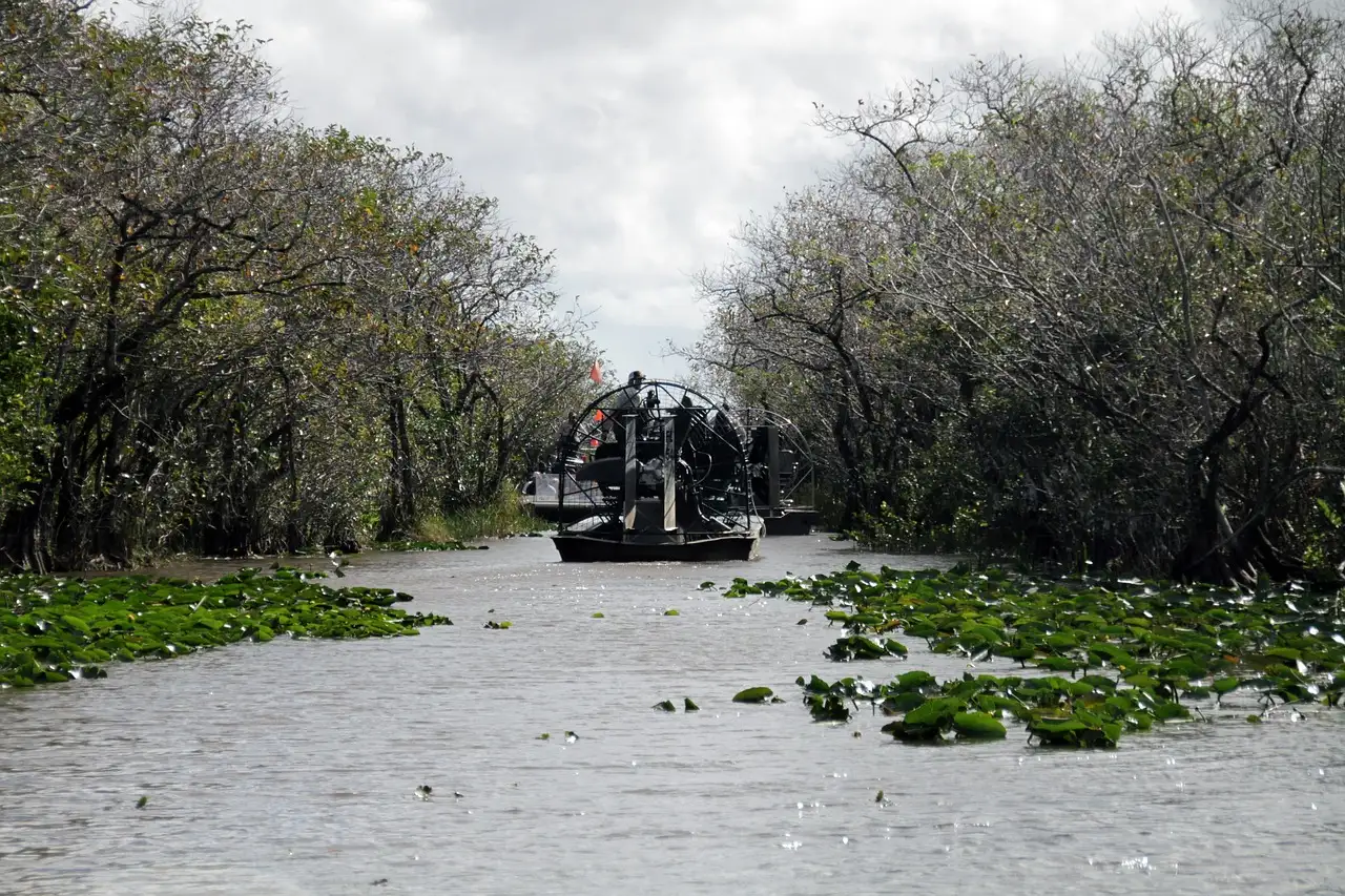 Two airboats on a narrow swamp channel lined with trees and lily pads