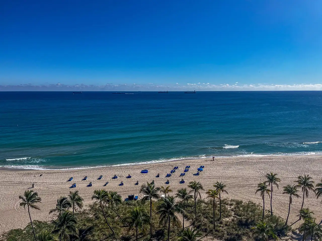 Palm trees and blue beach umbrellas on a Florida Atlantic beach, seen from above