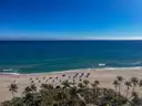 Palm trees and blue beach umbrellas on a Florida Atlantic beach, seen from above