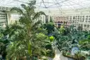 A glass-roofed hotel atrium near Orlando with palm trees and a garden pond, ringed by floors of room balconies