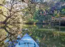 A kayak's bow on a calm river lined with mossy oak trees
