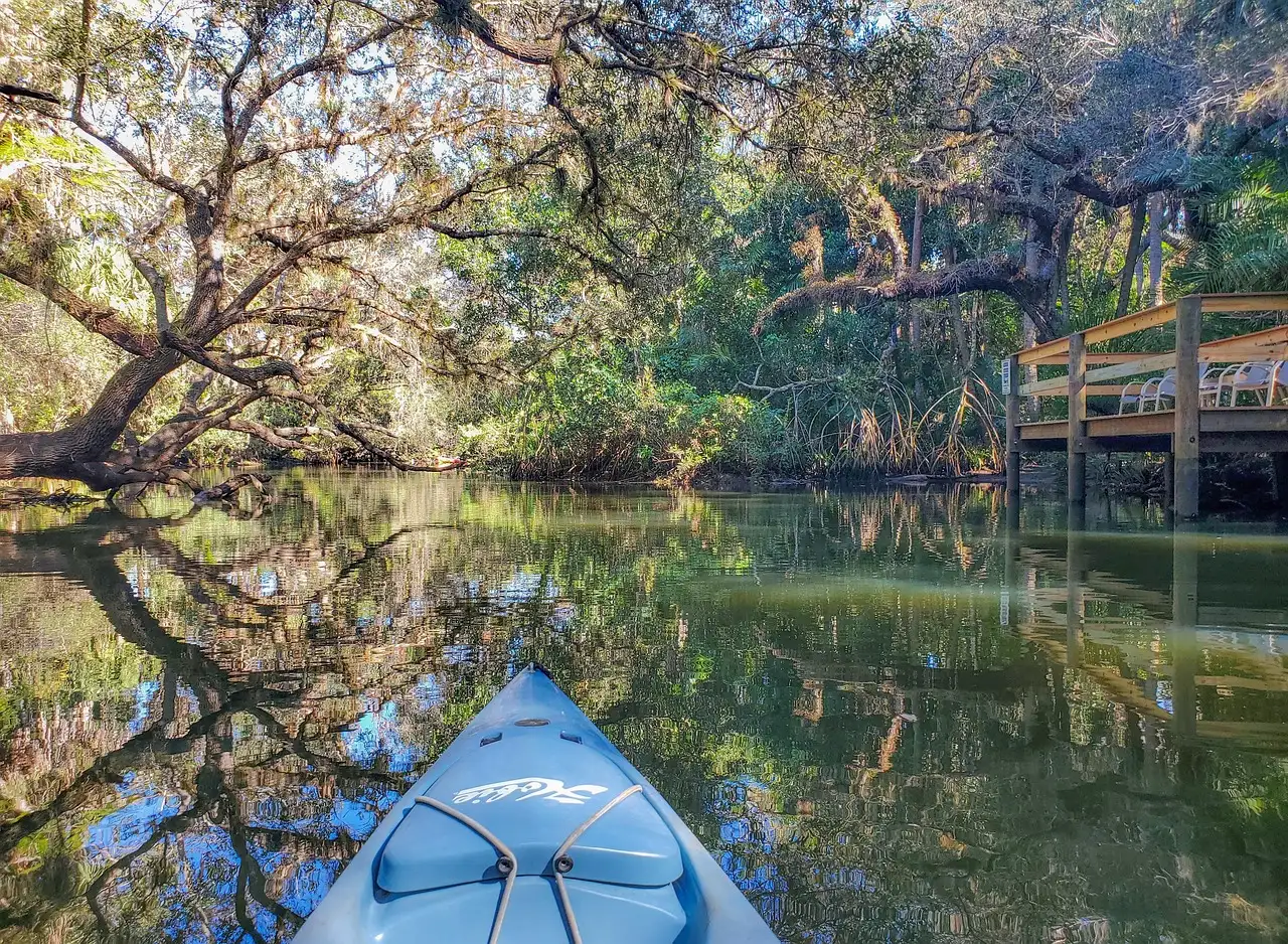 A kayak's bow on a calm river lined with mossy oak trees