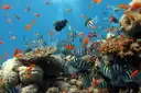 Orange and striped tropical fish swimming over coral in blue water