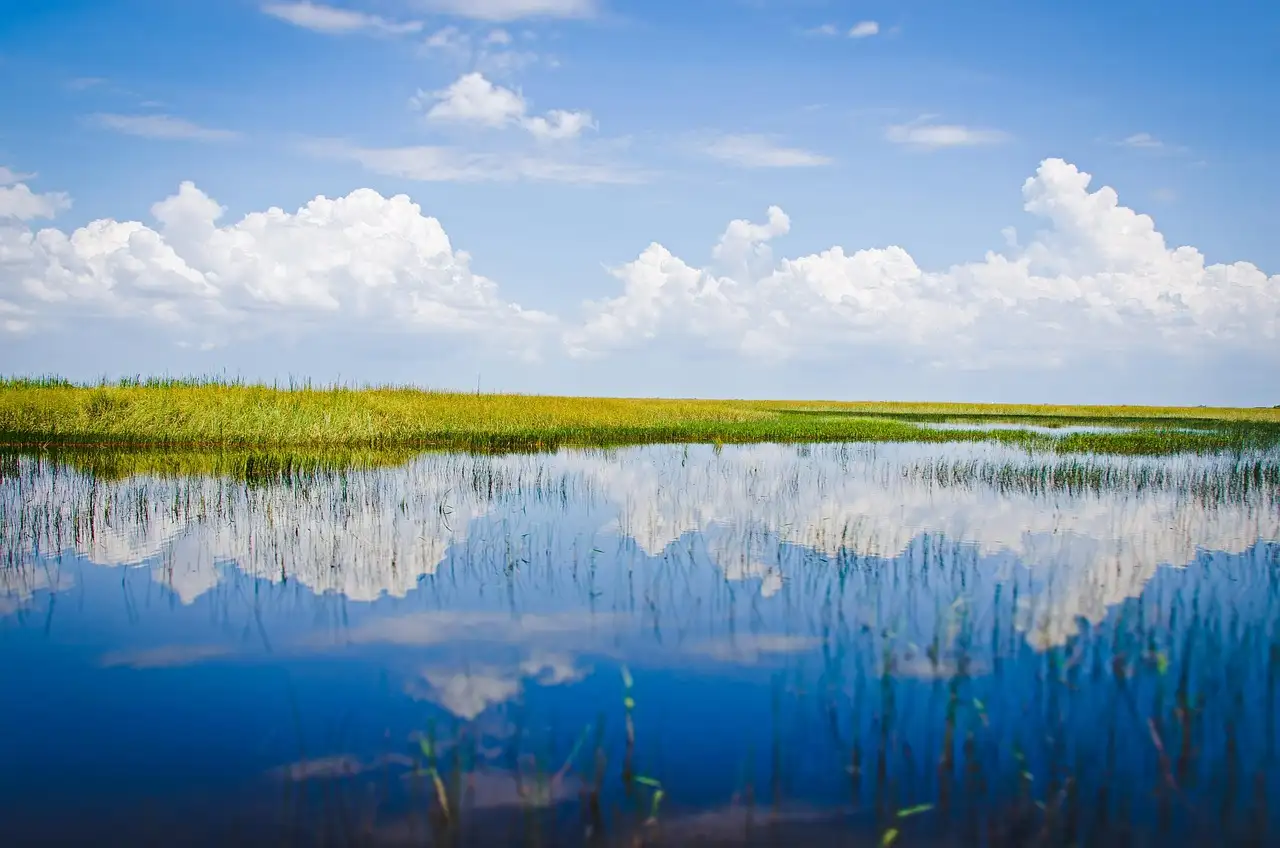 A flat wetland with still water reflecting white clouds